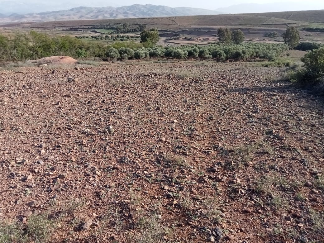 WhatsApp-Image-2023-03-30-at-22.49.52