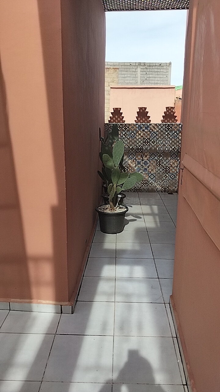 WhatsApp-Image-2026-02-04-at-15.42.12-1