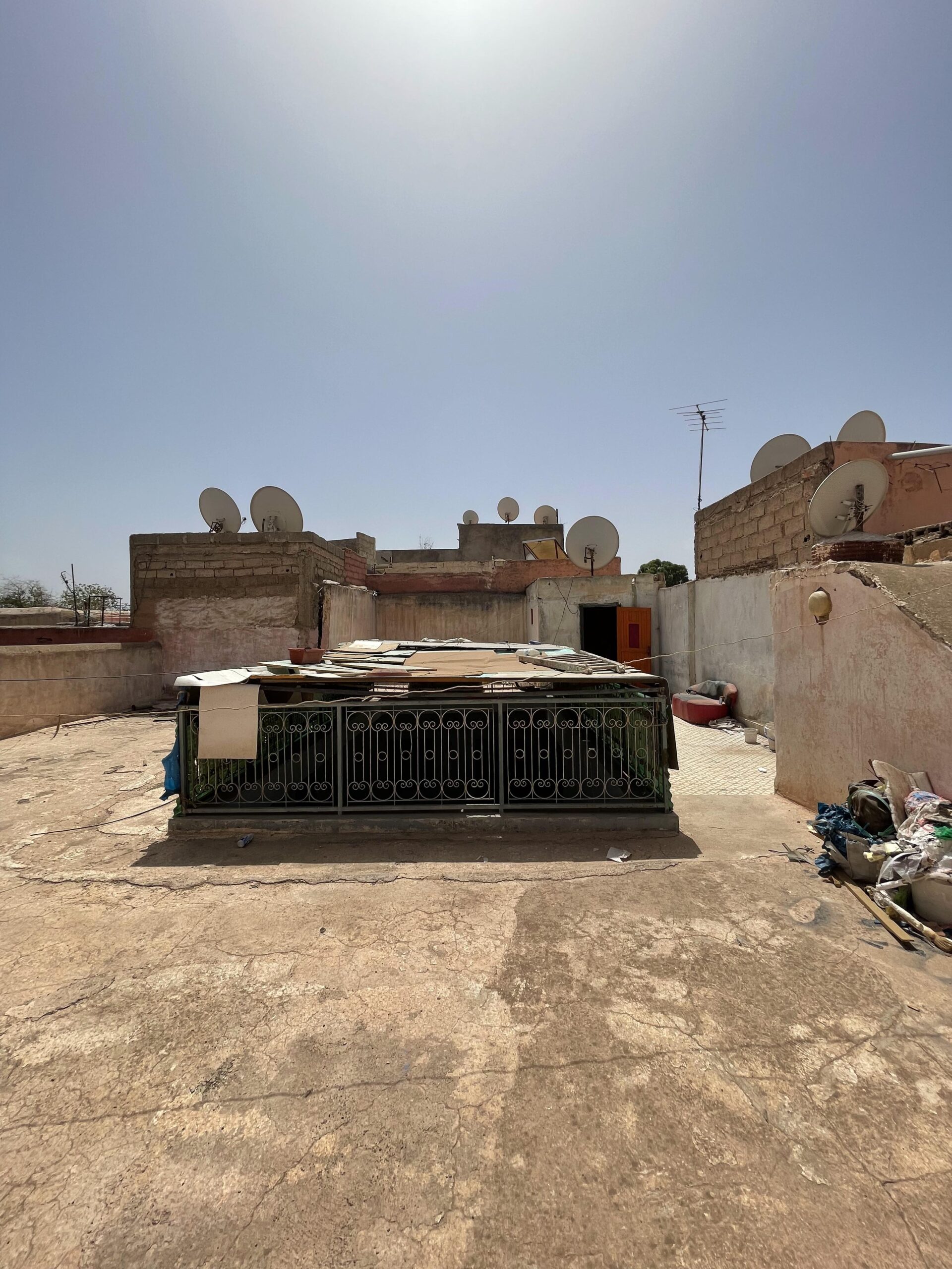 2024_09_06_14_00_IMG_3327