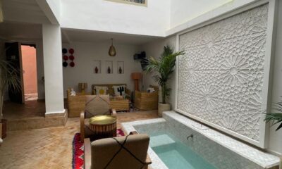 WhatsApp-Image-2026-03-13-at-11.27.23