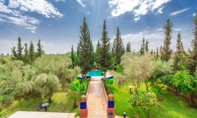 WhatsApp-Image-2026-03-18-at-09.38.41-2