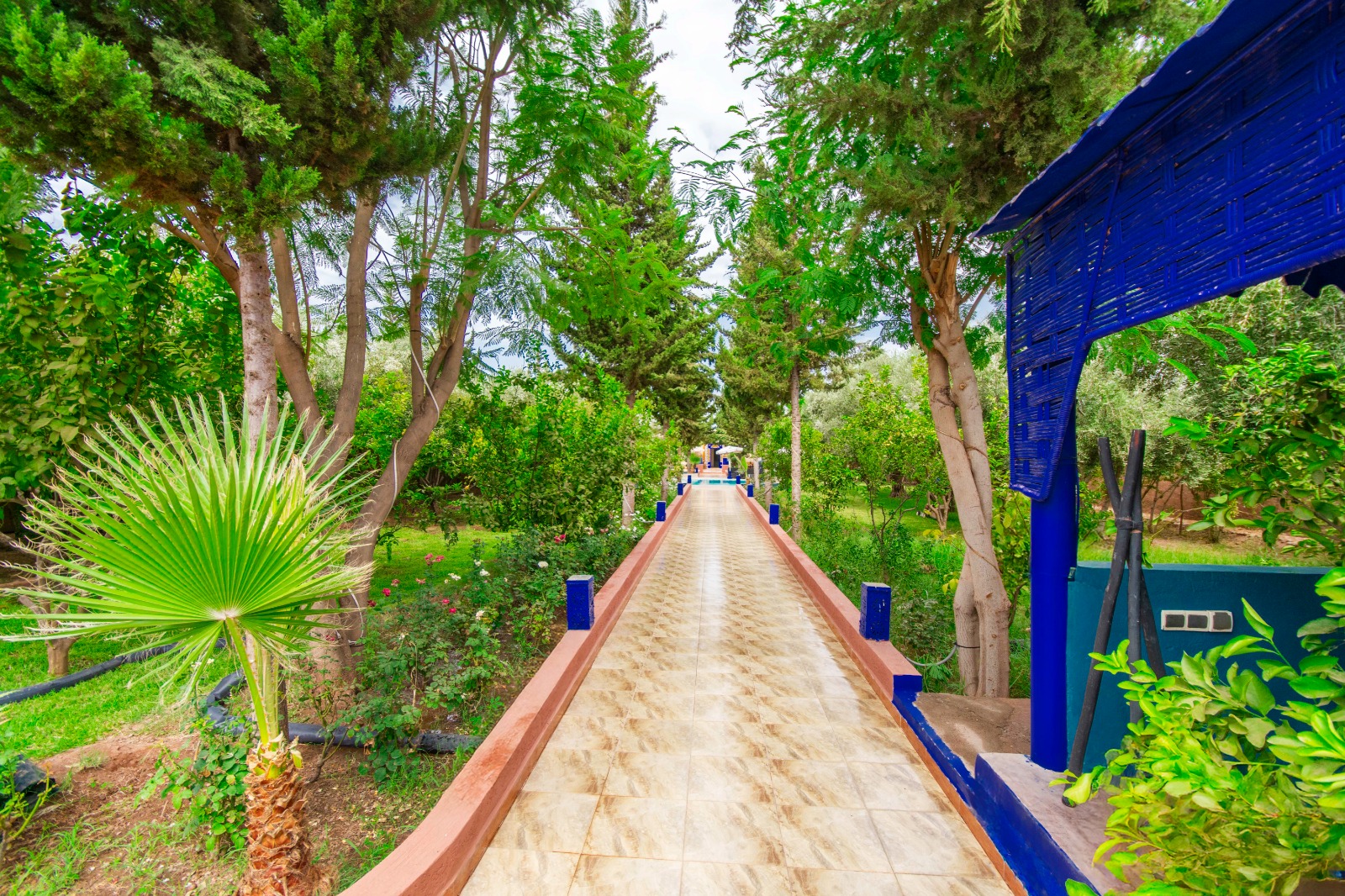 WhatsApp-Image-2026-03-18-at-09.38.44-1