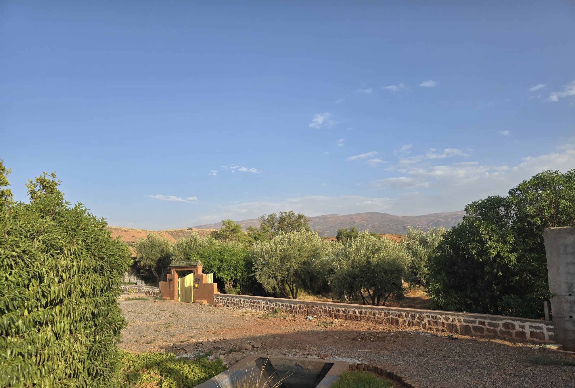 WhatsApp-Image-2026-02-10-at-08.39.06