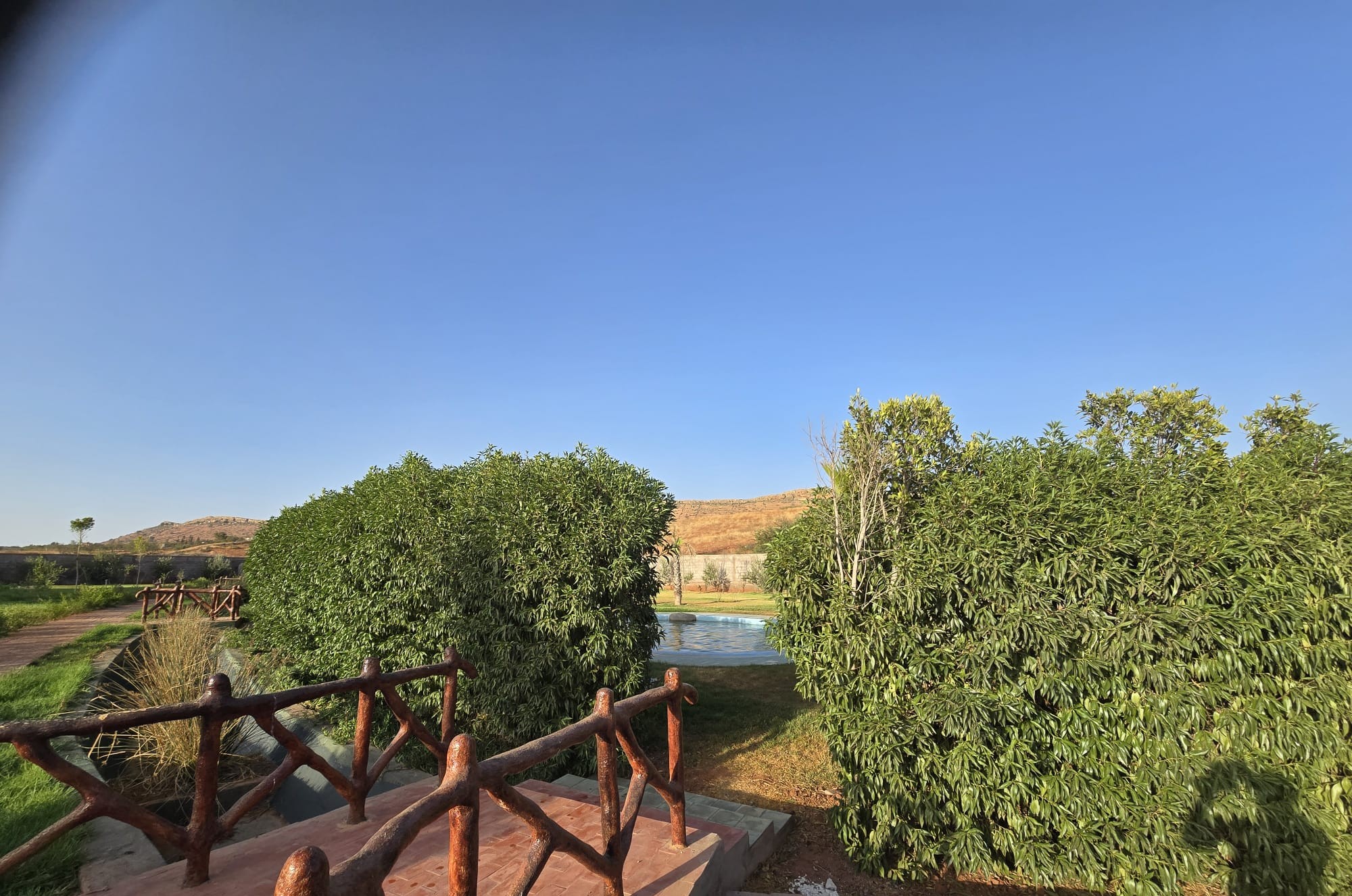 WhatsApp-Image-2026-02-10-at-08.39.07-1