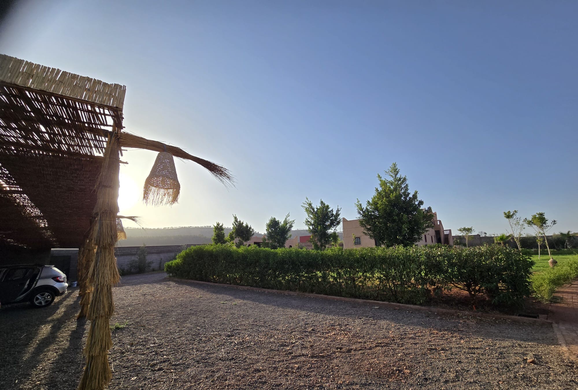 WhatsApp-Image-2026-02-10-at-08.39.07