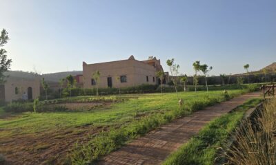 WhatsApp-Image-2026-02-10-at-08.39.08