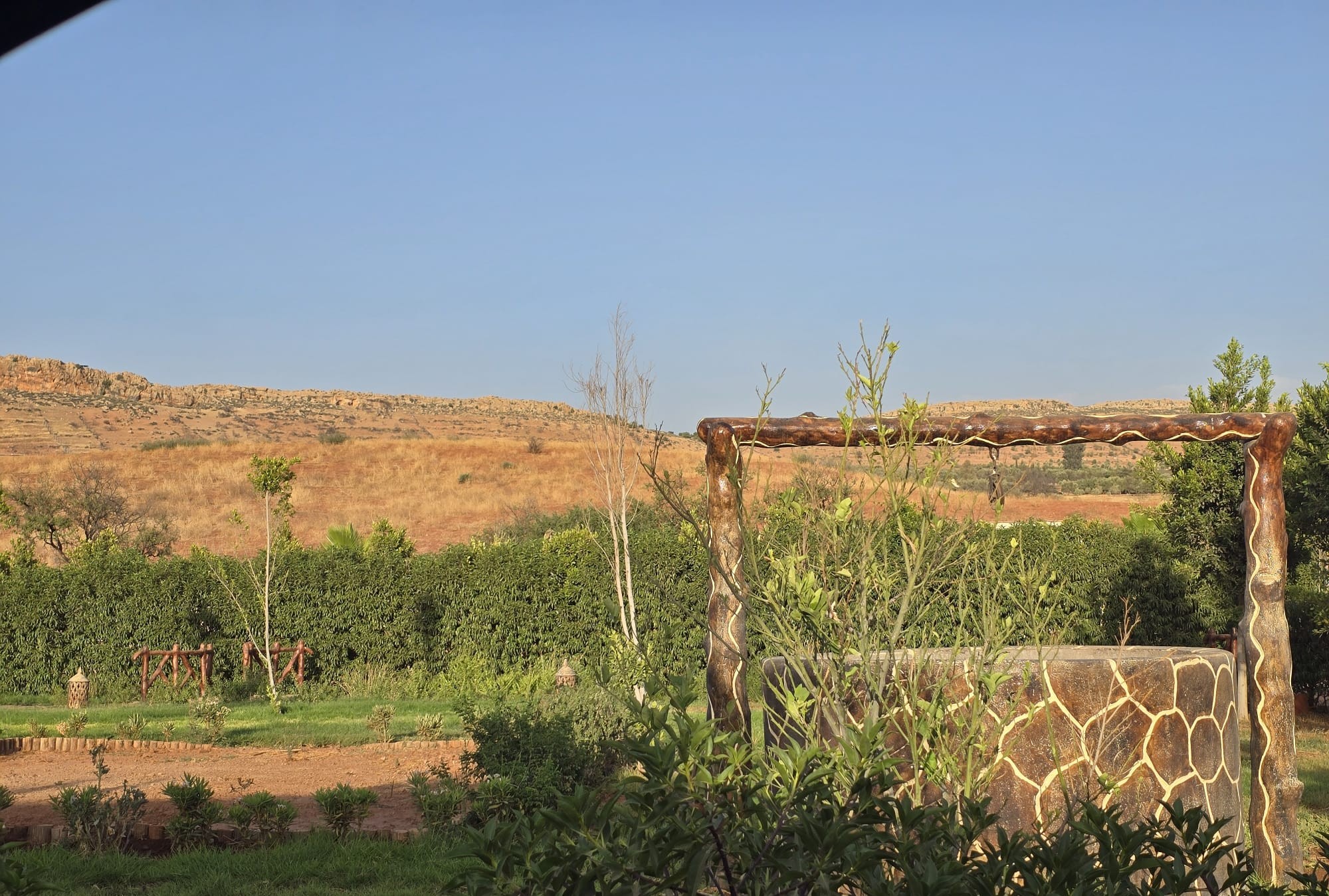 WhatsApp-Image-2026-02-10-at-08.39.09